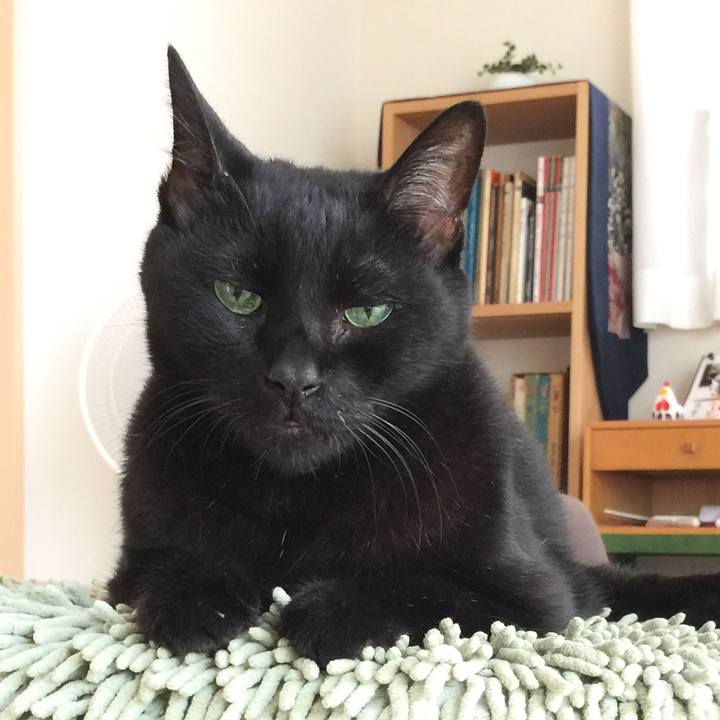 5c0db5be 0629 4713 a05c b48257d11cd9