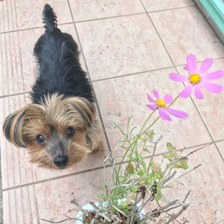 5c0e9fd2 dd33 410e b434 047f6f473dc1