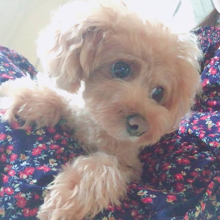 5c0f21f1 ac1c 468e a3ba 533d4f5205db