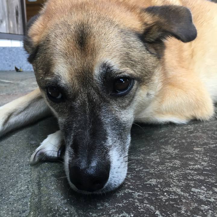 5c0f2a67 92c5 44e7 aec2 a65776a0b7b5