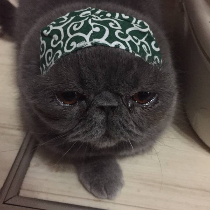 5c0f3cc4 5a3b 4ec4 85f8 20017e3689d2