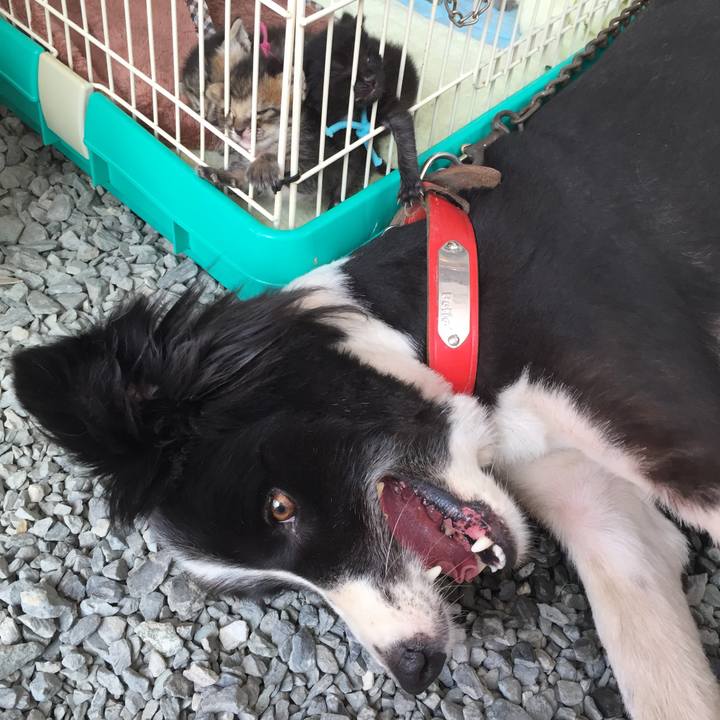 5c109633 97d6 42c3 a8b5 923e699167ce