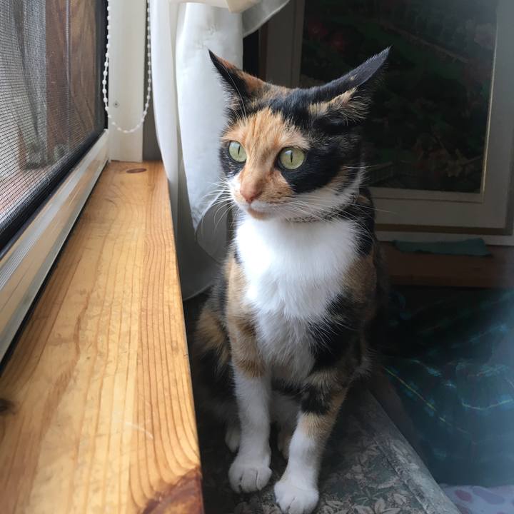 5c10a0e2 b99d 44e5 8595 bec3b00dca8d