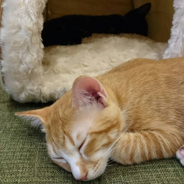 5c114c6e 3613 4014 ad81 e6c2cf52ed6c