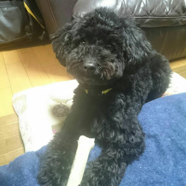 5c1185f3 05d1 4f20 a8f3 120f802ec4cf