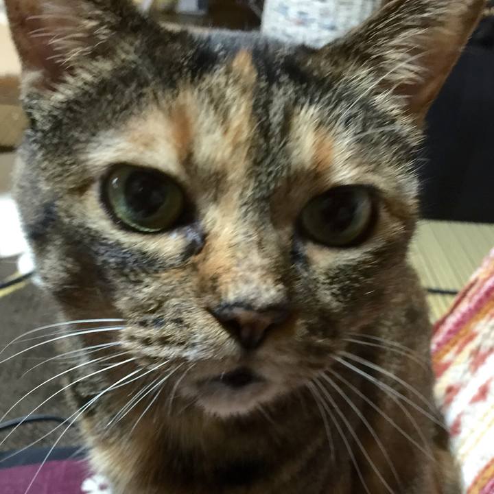 5c11a3ef ccb8 4107 9b0a 7d7dd859d95f