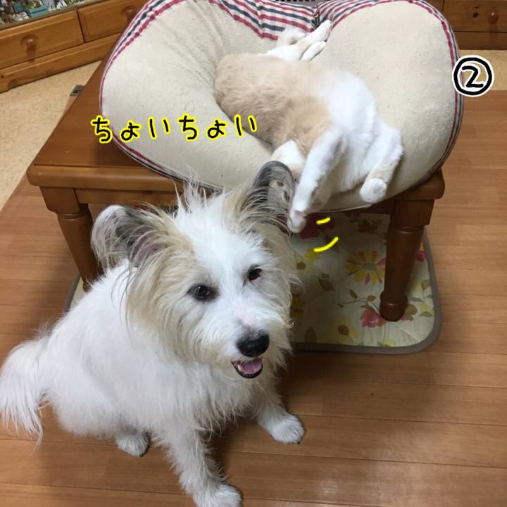 5c12a4db af27 4872 86c3 98f26f7c3542