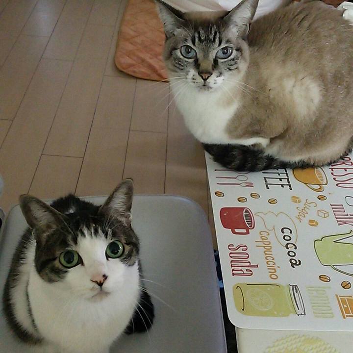 5c12e849 f91c 4f42 8bd1 b6a9692e4a51