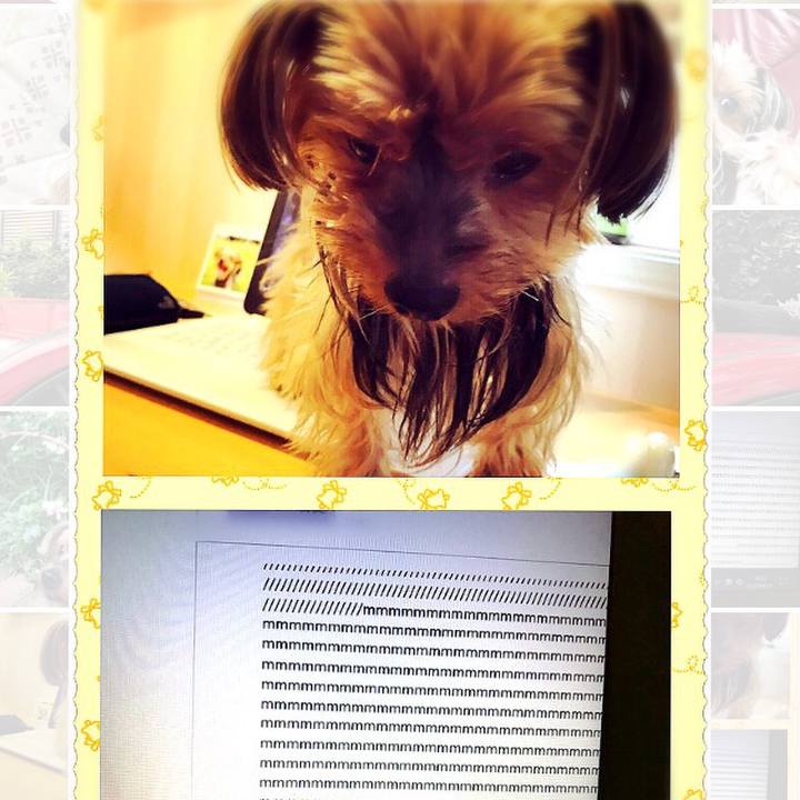 5c1301e7 8b9a 4190 bb55 79f127d58975