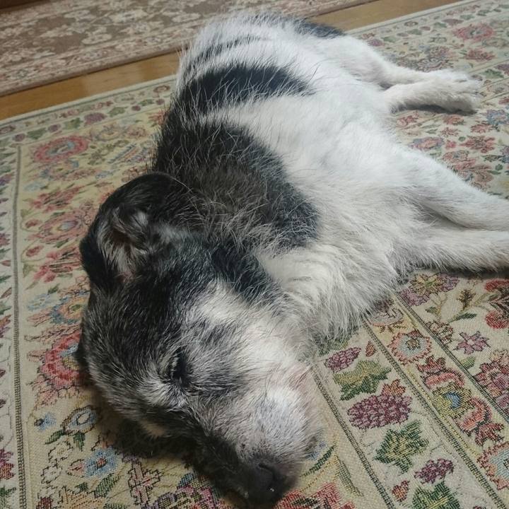 5c133997 f244 4f43 b794 09824c1e5bff