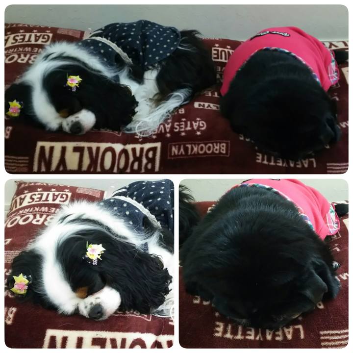 5c135313 61fa 4239 bc6a 21e33444bd57