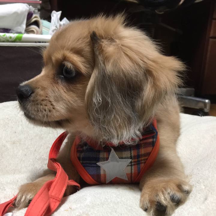 5c137757 bf1e 48c9 b1ba 1de97e7c6377