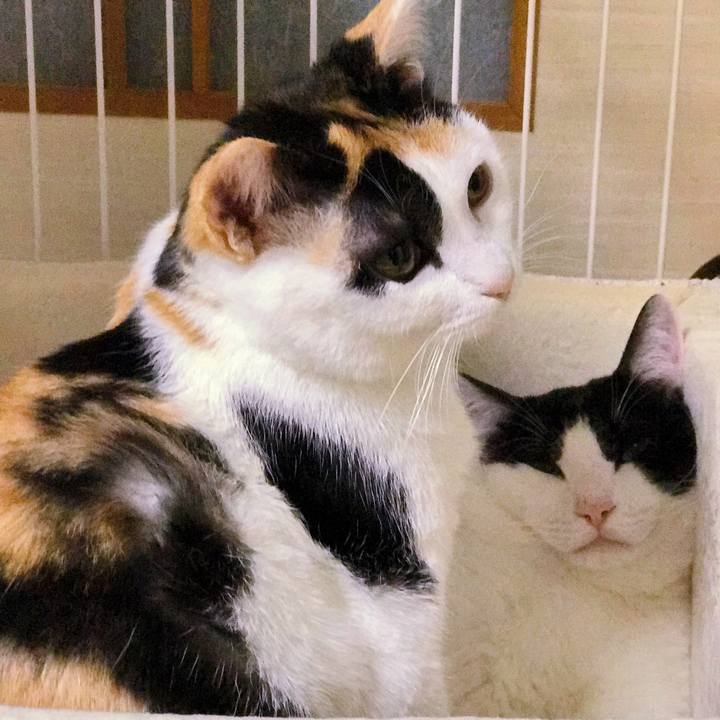 5c138491 8541 46d3 9ccf 35e35bffcbf8