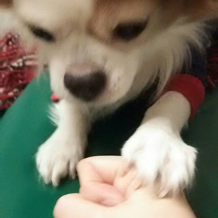 5c1407ae aaf7 4fe9 a3b9 0b116b013d93