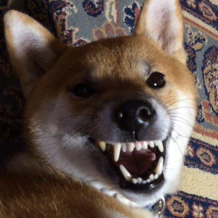 5c14492c 58ac 4a7d 8d8e a1f0e1eefb25