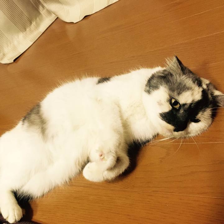 5c146c32 be39 4a71 a28e 5001fd4fd3bd