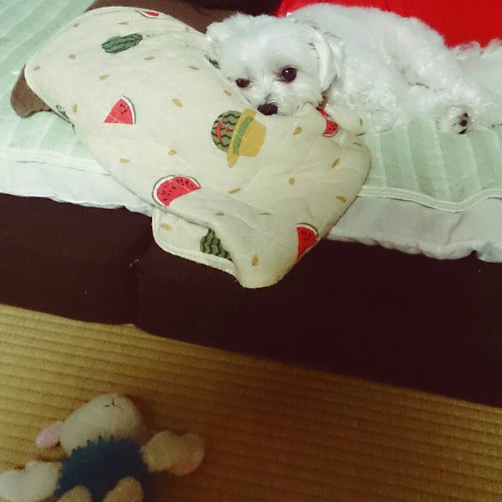 5c14b26c 7a71 4195 bc4f 874cd5028b9b