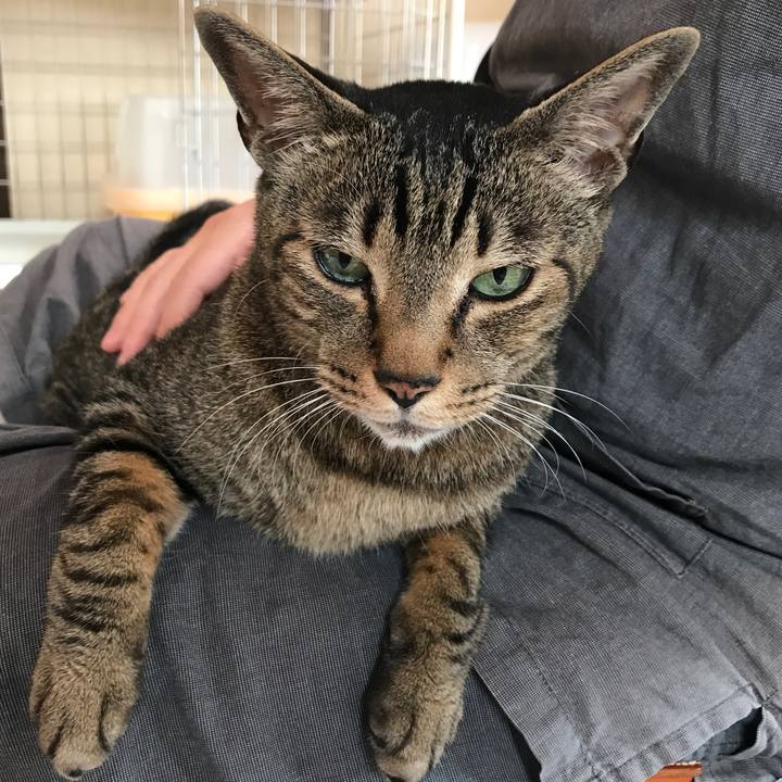 5c150acb 1964 4a7e a40e 1c63296053cb