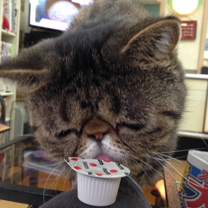 5c164ad4 1306 48b1 a108 315d6d7437e4