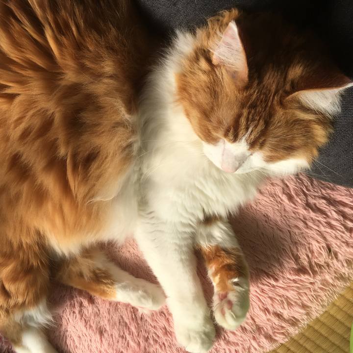 5c16a706 25dd 49dc 8558 74882ca7227a