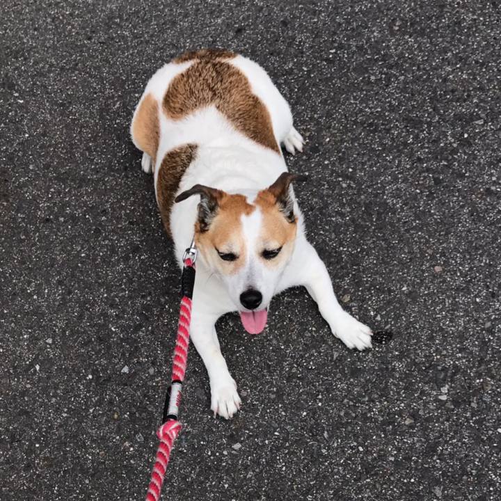 5c16d232 f6f9 4782 a322 61060720ef80