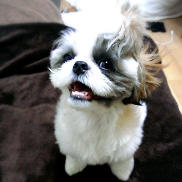 5c16f5f8 6170 4848 9d86 a81618ab11e1