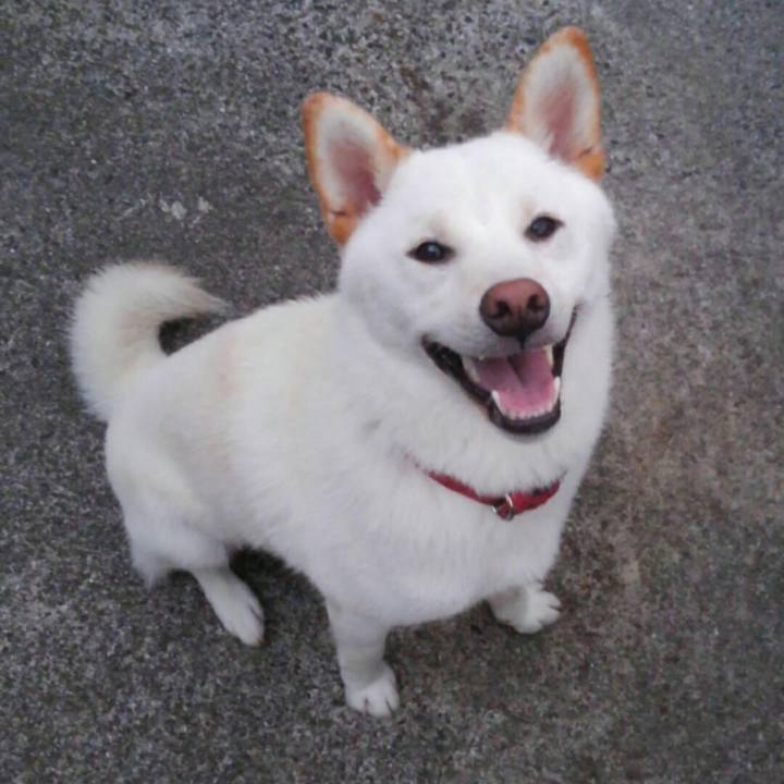 5c173f7c 5d18 48a7 916c 5d735a616034