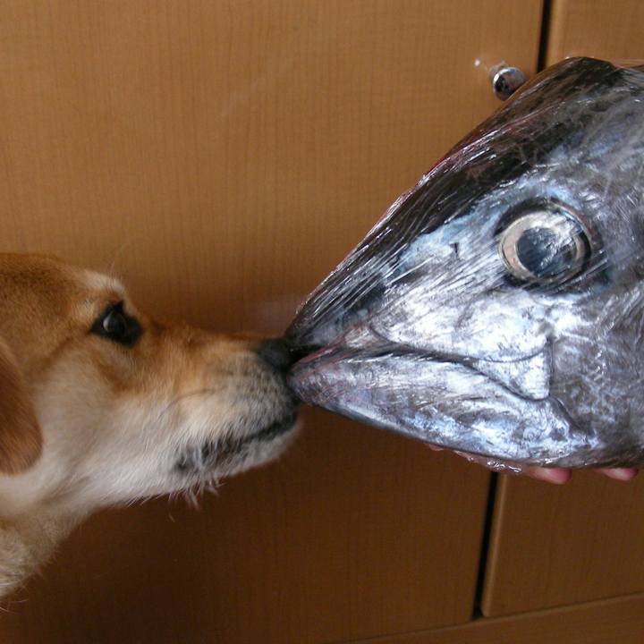 5c17beee 5eff 4d2b 9879 554d63d4b72c