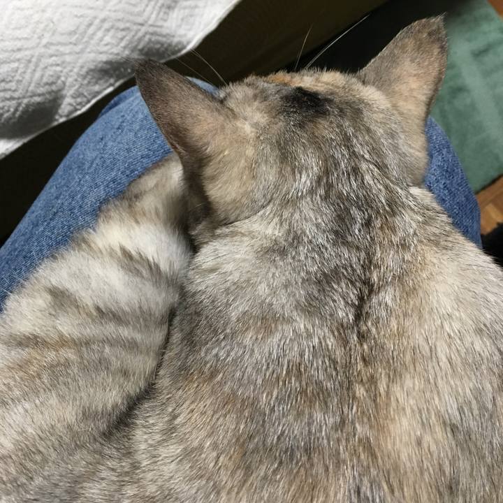 5c18032a e682 4098 8895 b6b945baa159