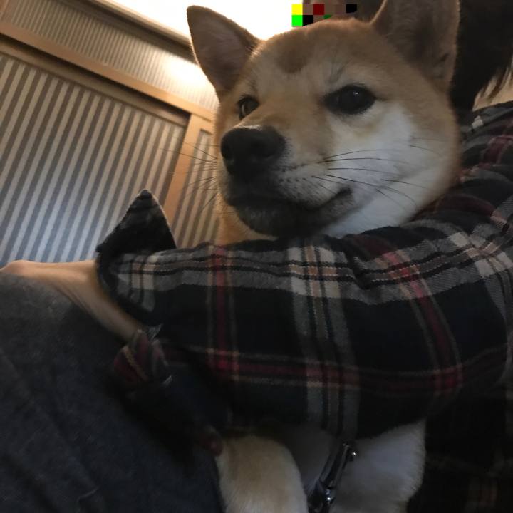 5c184bfb 09f3 4aee 927c 6bf2b87073f1