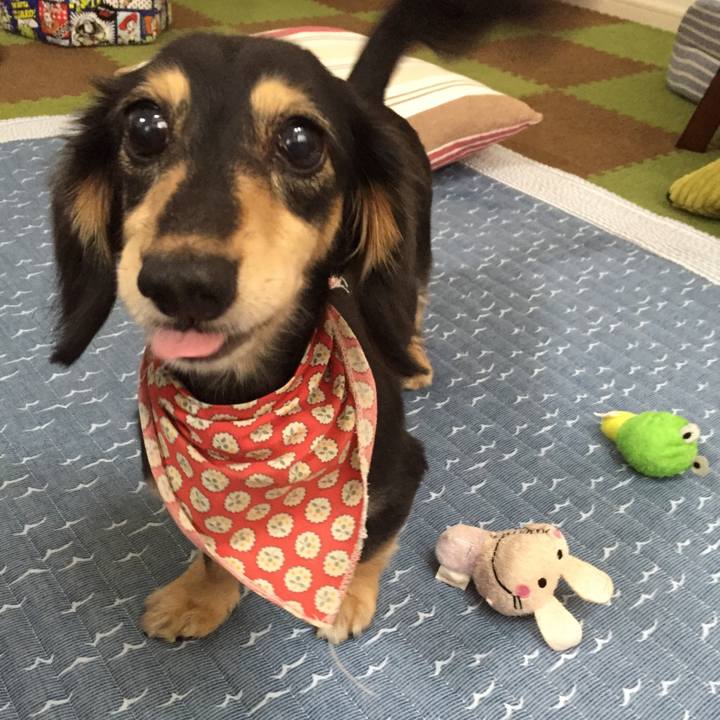 5c18c7f6 e4cc 4675 a38e e423a9ff9c98