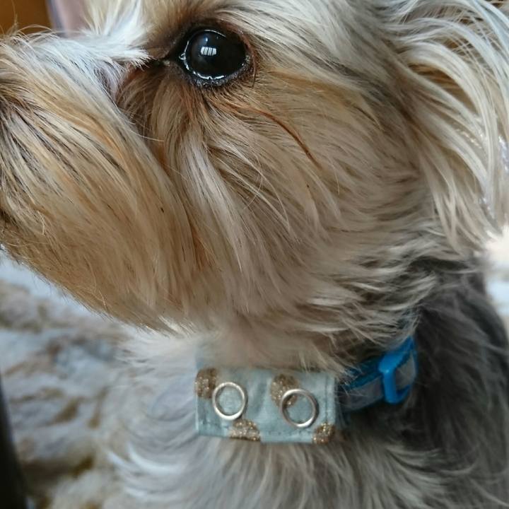 5c19c954 7393 4abc 9519 fda060bc921c