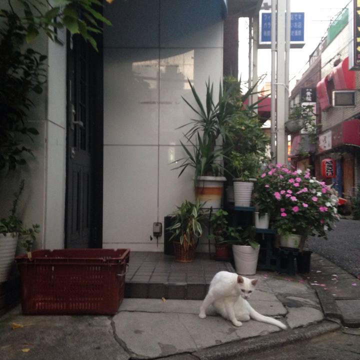 5c19d700 e1f0 452a b507 504459ff27e4