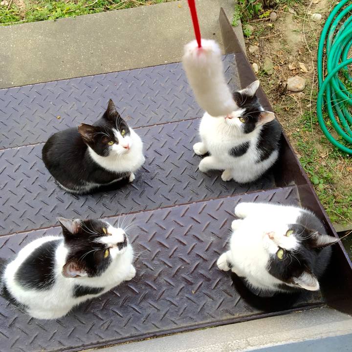 5c1a2a5d e9d4 4b8b 9b78 04179977ce38