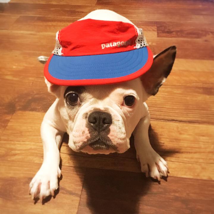 5c1a54e3 043e 4a70 a07f c58cfdb8f25b