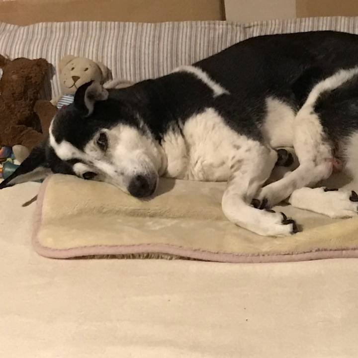 5c1a7884 af83 4e71 b70e 1e05c86f12ee