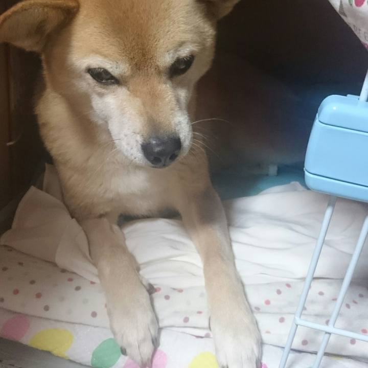 5c1aed48 74f6 4cd2 ba9f 84f12f5878ff