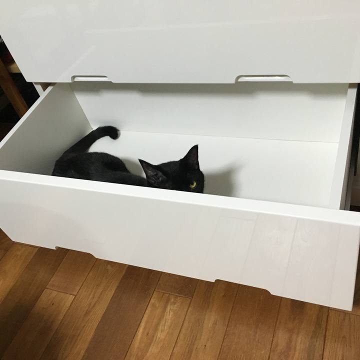 5c1bc407 2728 4dac b769 a4d8723b76bb