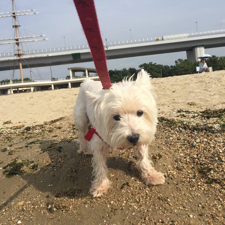 5c1bcf5a e564 4699 8e33 3e4bb749d85f