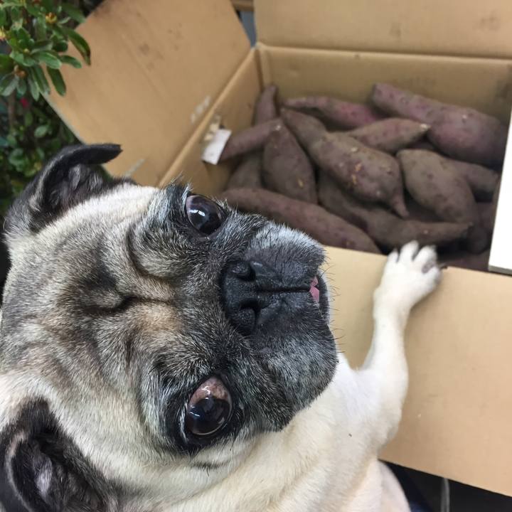 5c1bf36b 914a 4f25 99dc 08d69ba80ef3