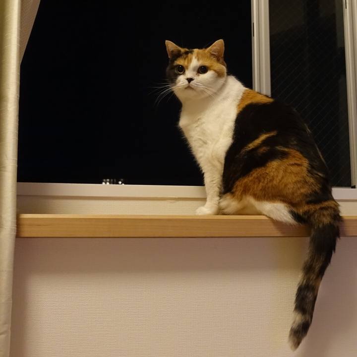 5c1c5e83 e53c 453e 87d8 28e86c4bc616