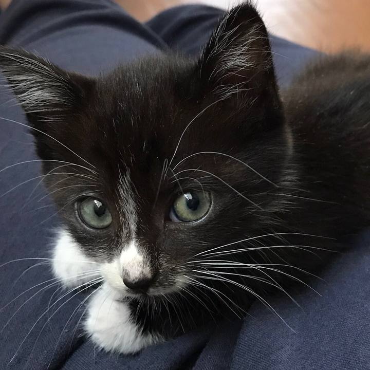 5c1ca439 b3a9 49dd 831e 6ea5d442714e