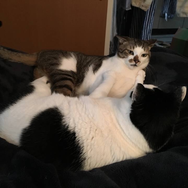 5c1ce6a9 437c 4adc 82ad e18b4b341f9f