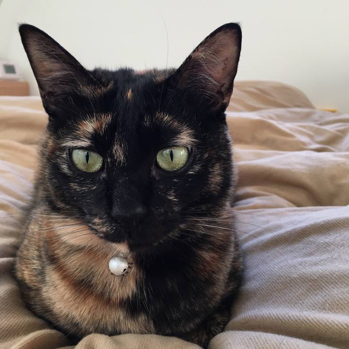 5c1d2412 bad2 49e8 8bd6 9cf5d45f19e1