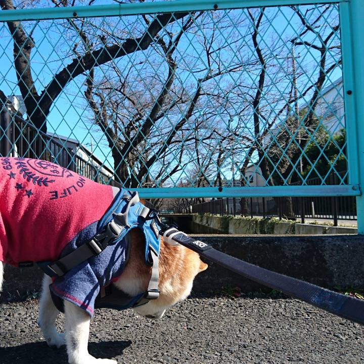 5c1dcbab 3440 47a6 bb98 5d5fdc2c4573