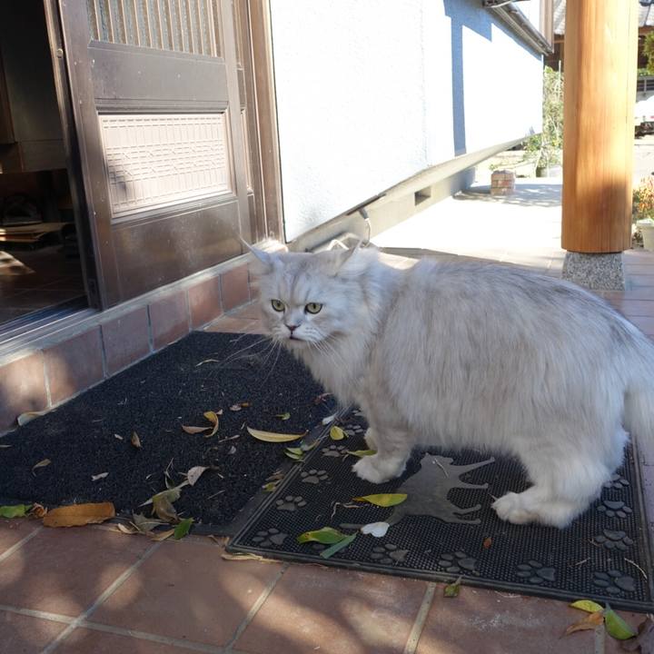 5c1dd6a0 3303 4cf5 a951 919befc22bd9