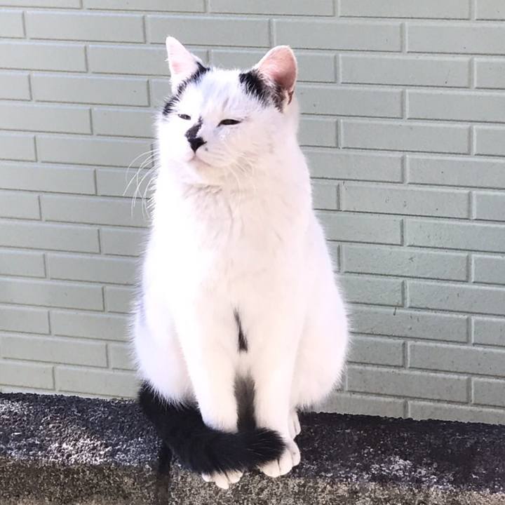 5c1f7e44 a9e3 4310 a9ad 9d0b0a400413