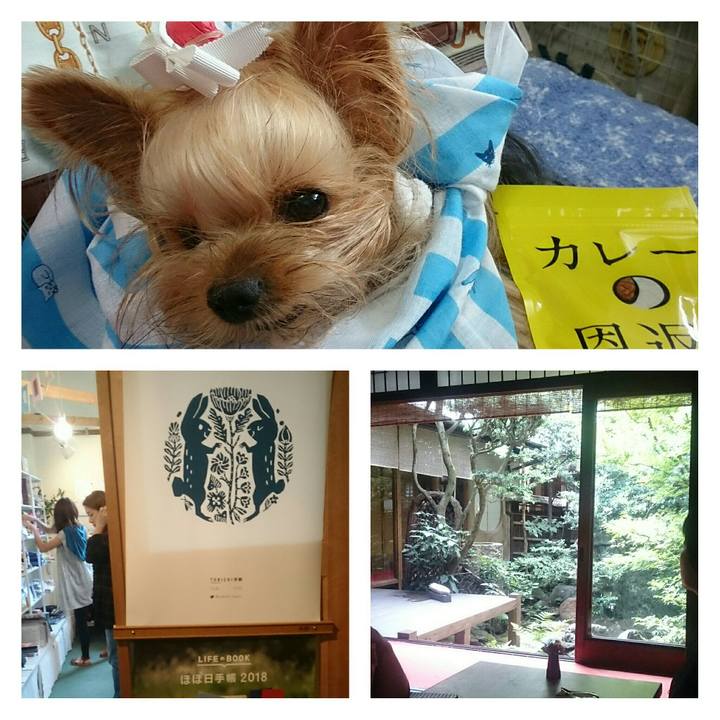 5c2027c3 d3e9 43e2 b6e7 4b4a34defd7c