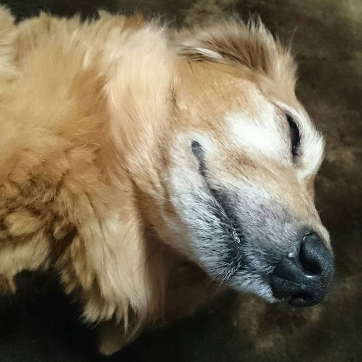 5c204586 f9c6 4de7 96a4 c36210dde5c0