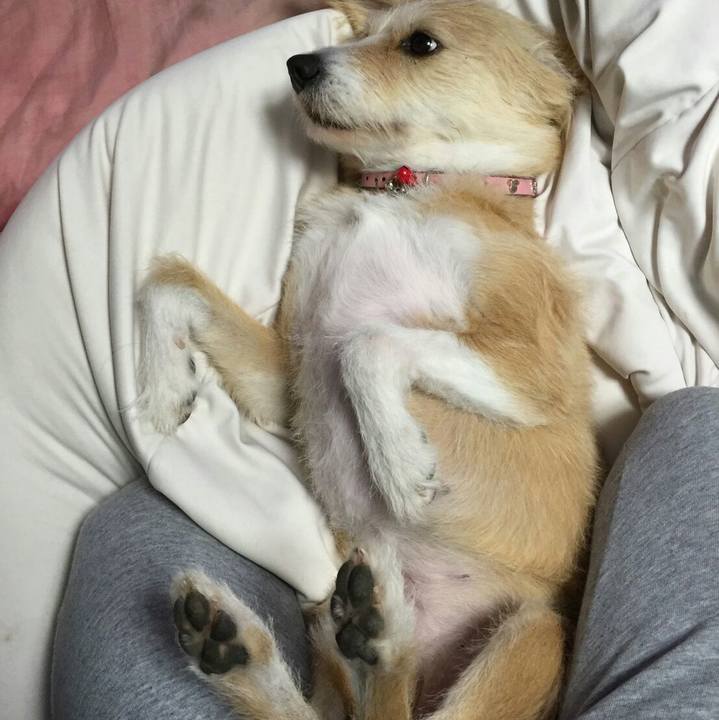 5c20cf9f d6f0 4452 b071 79d2e979662e